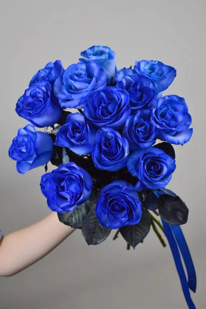 15 синих роз