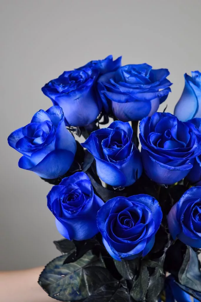 11 синих роз