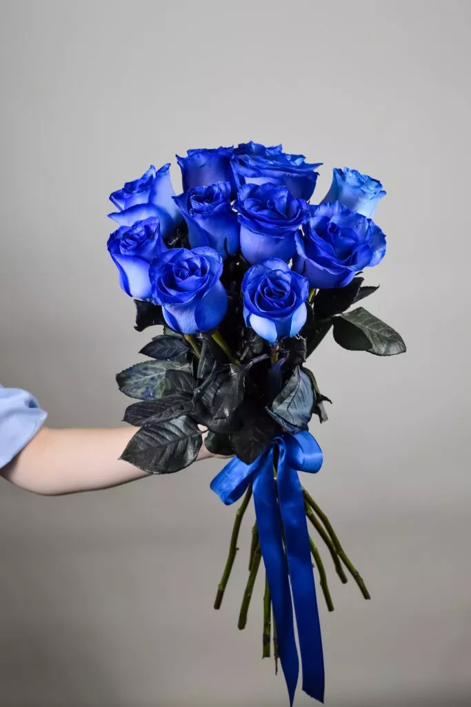 11 синих роз