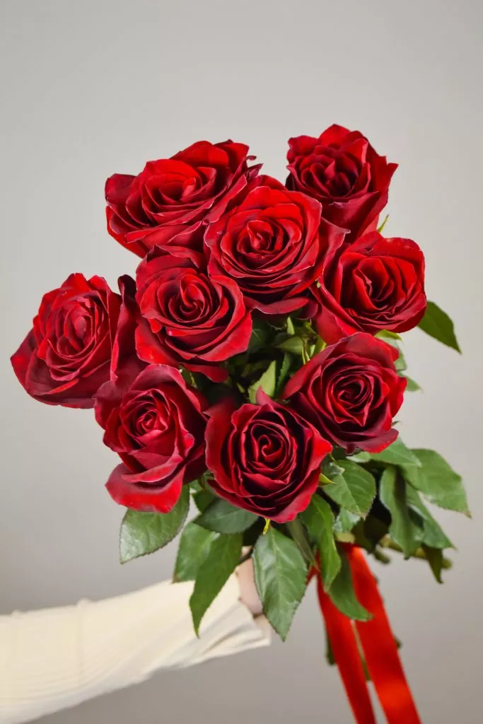 9 роз Эквадор