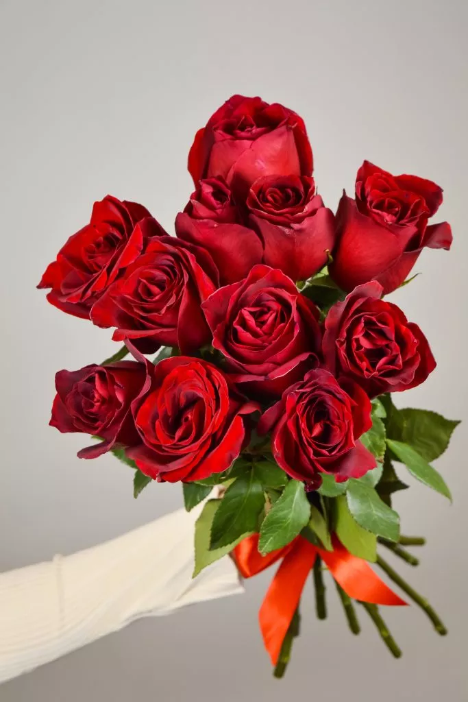 11 роз Эквадор