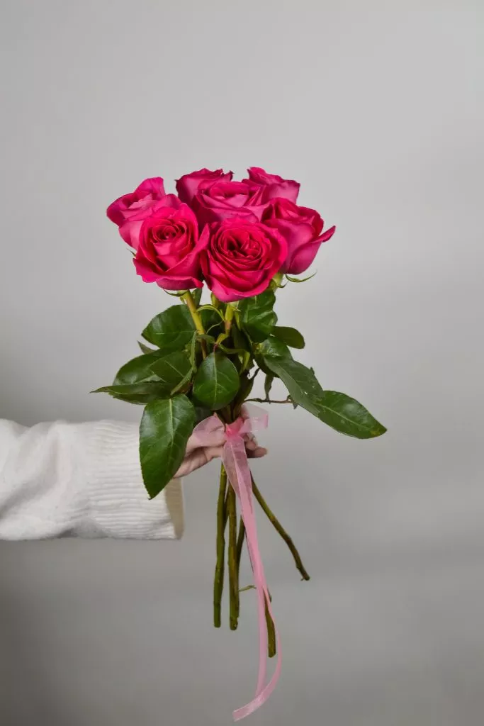 7 малиновых роз Эквадор