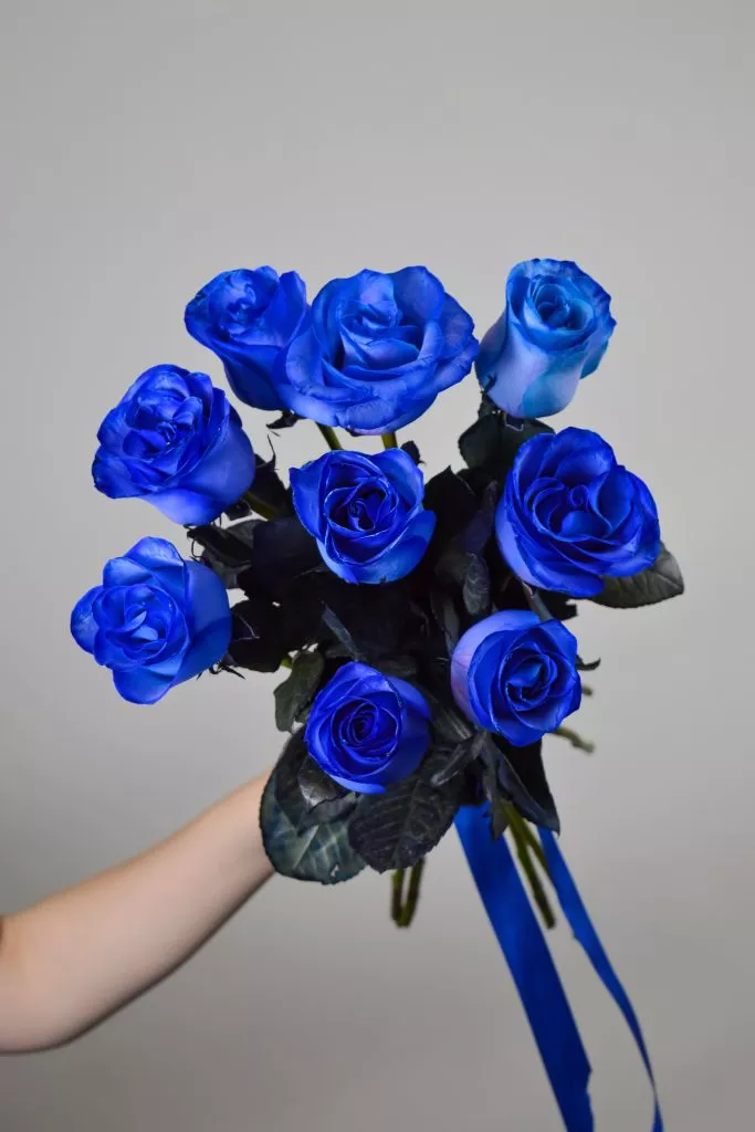 9 синих роз