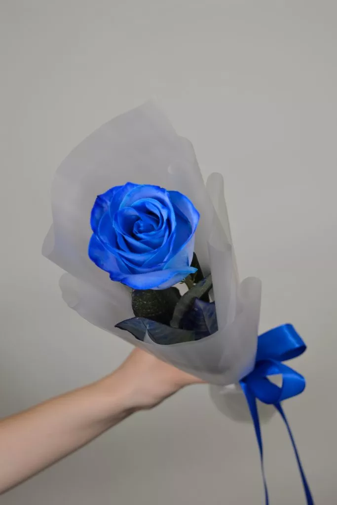 Синяя роза