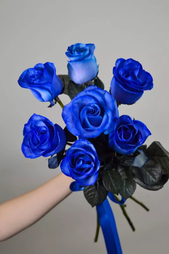 7 синих роз