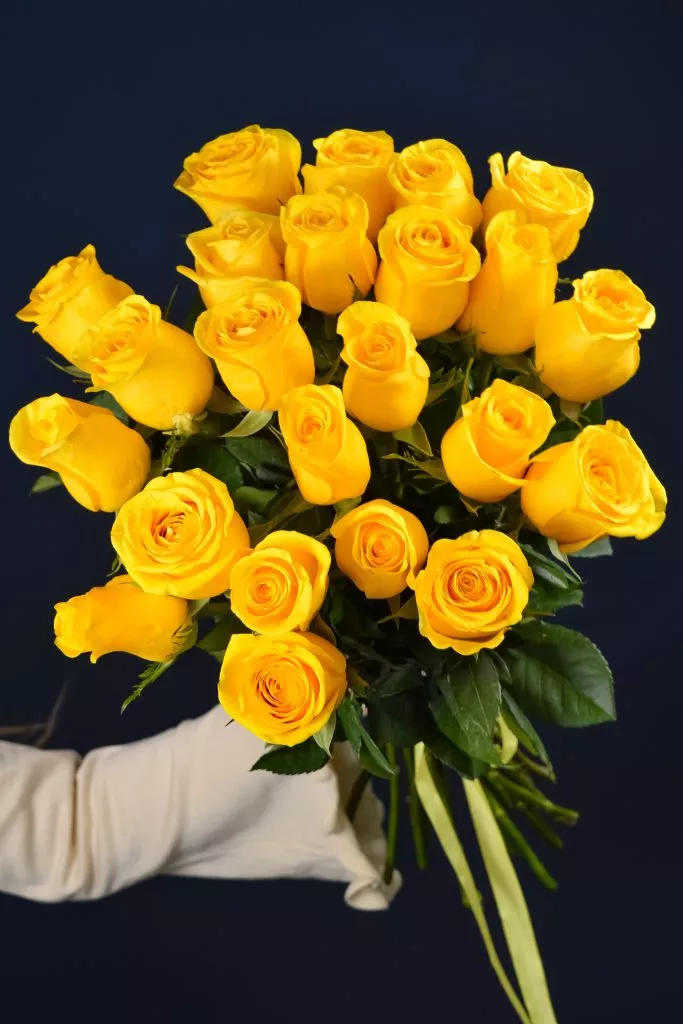 25 желтая роза