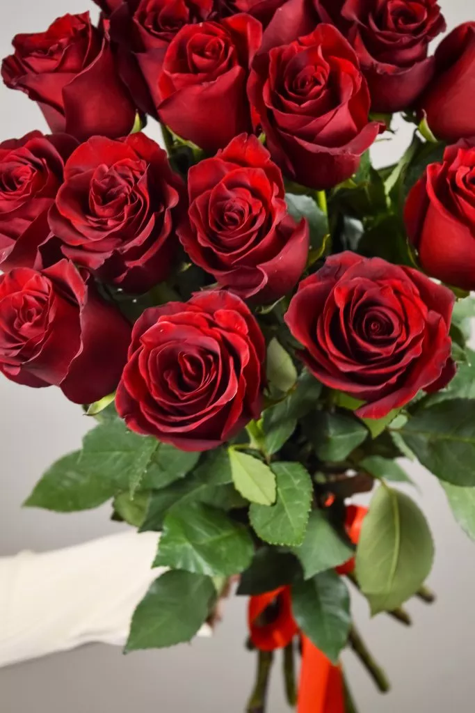 17 красных роз