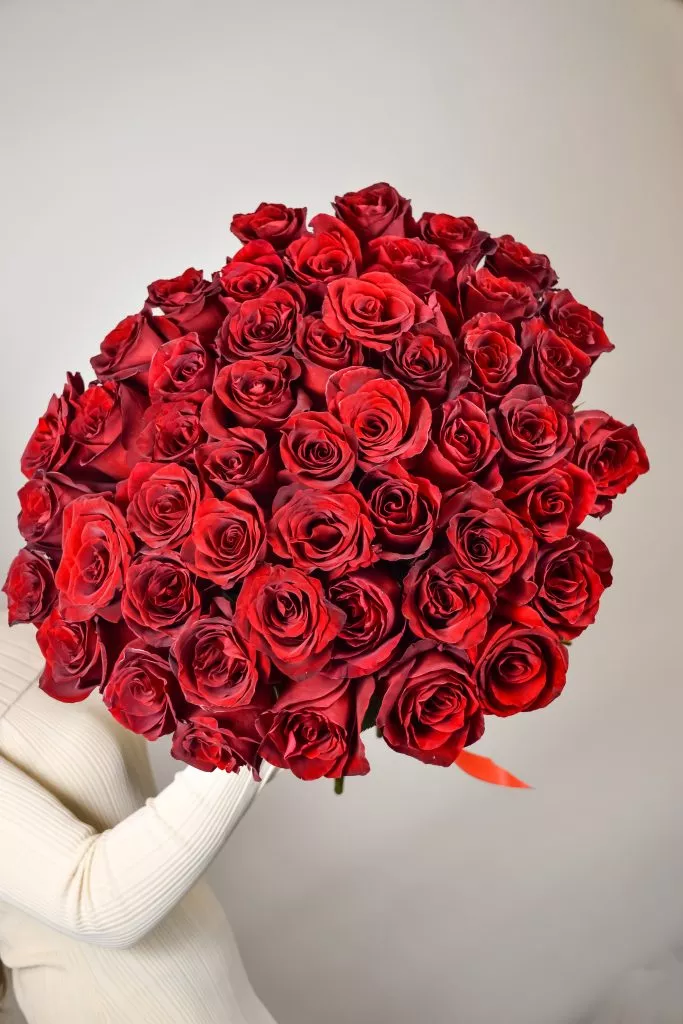 51 красная роза Эквадор