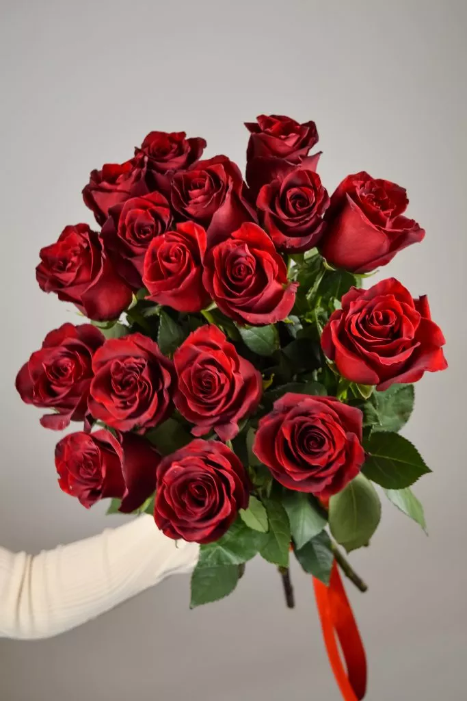 17 красных роз