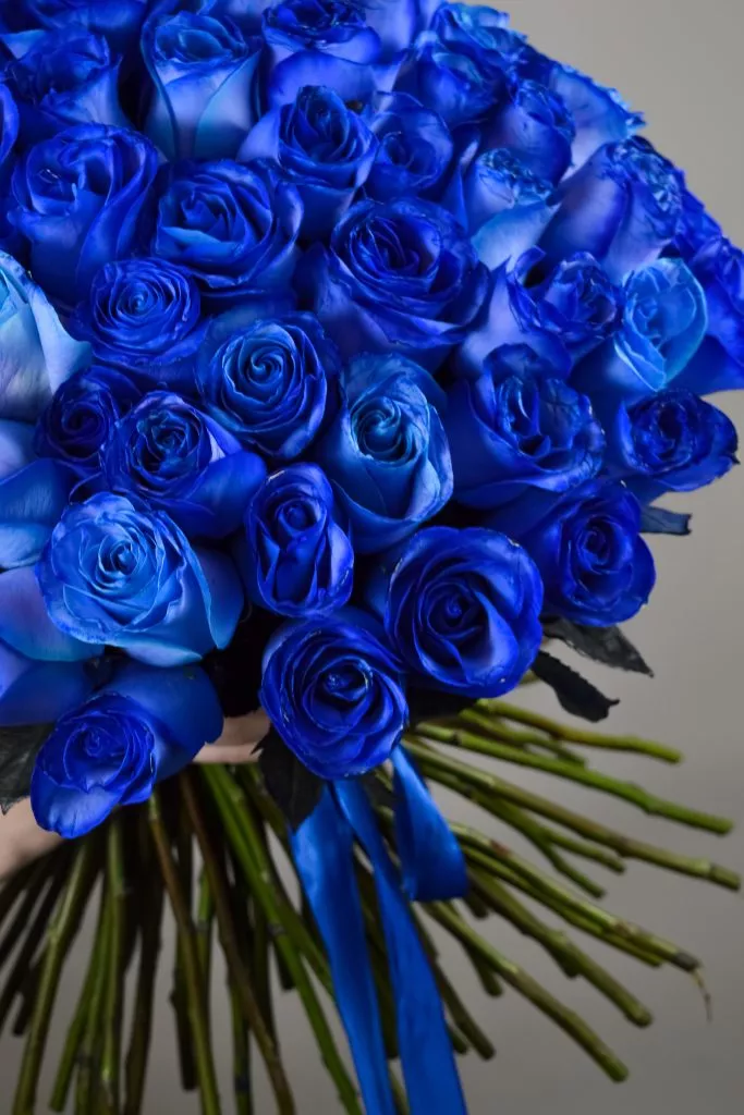 85 синих роз Эквадор