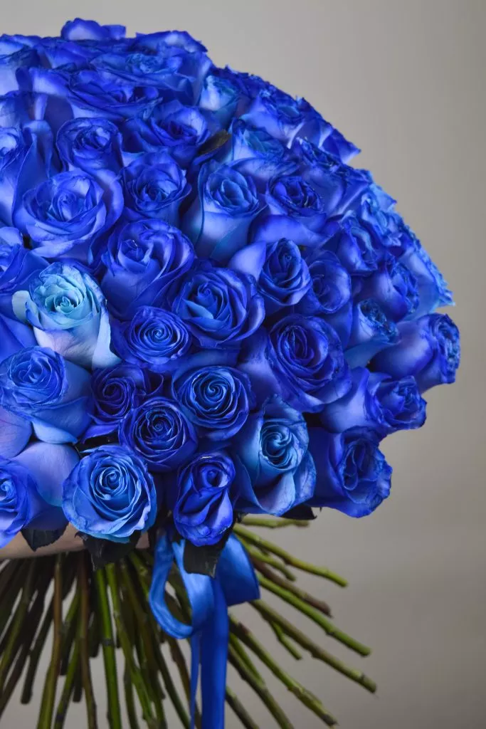 75 синих роз Эквадор