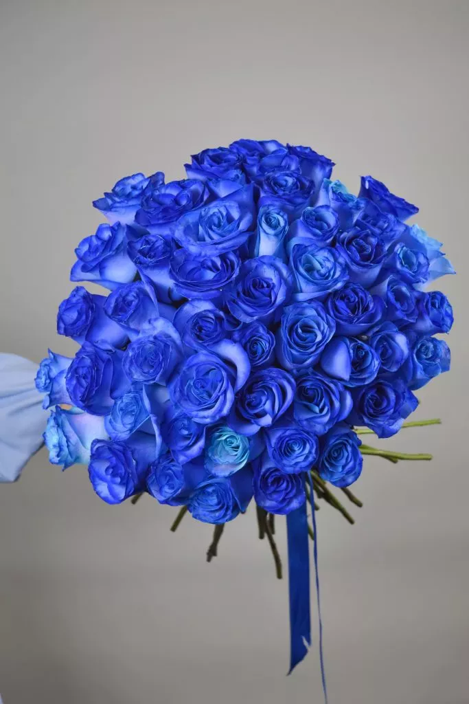 51 синяя роза Эквадор