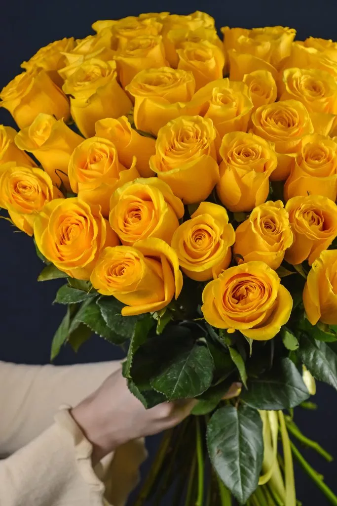 51 желтая роза