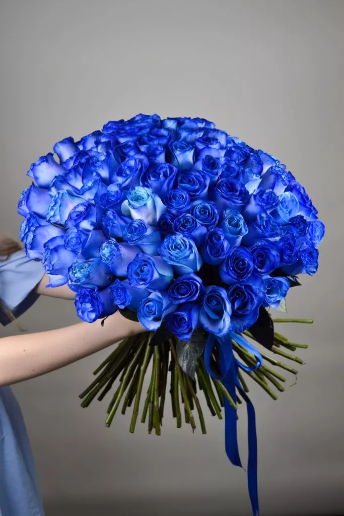 101 синяя роза Эквадор