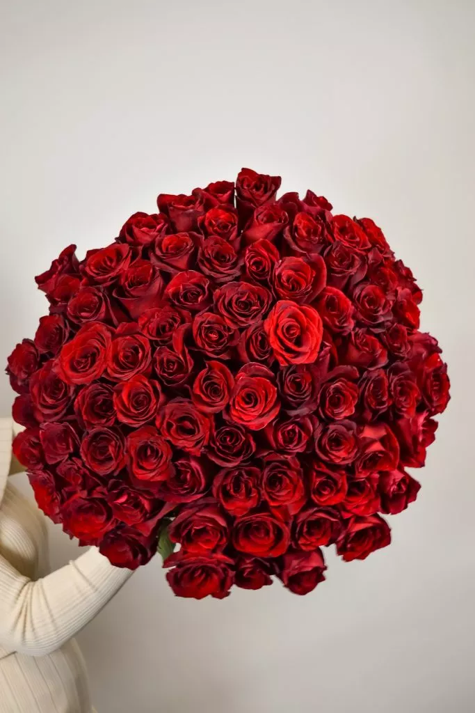 75 красных роз Эквадор
