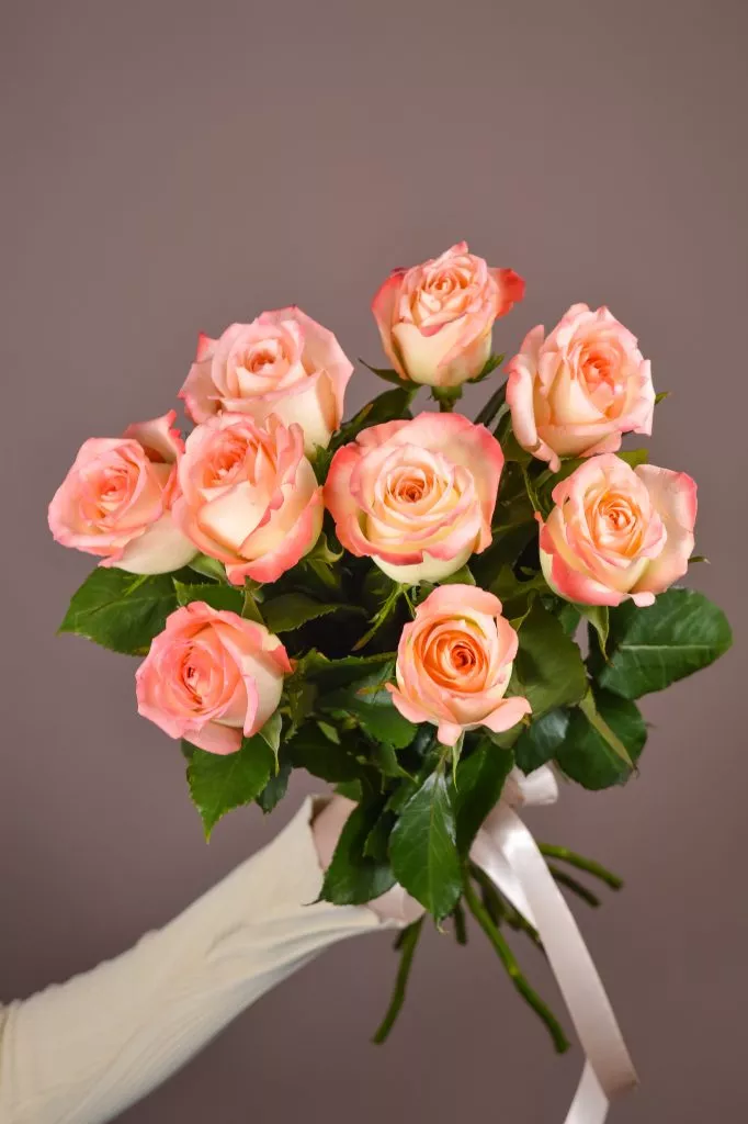 9 розовые розы Эквадор