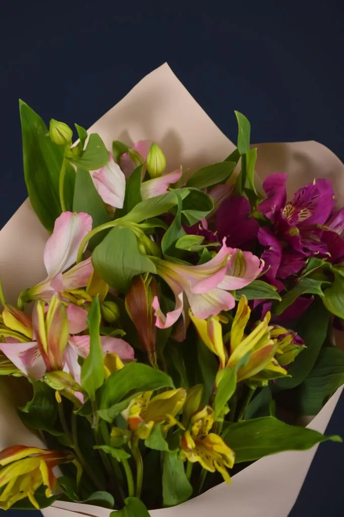 3 разноцветные альстромерии