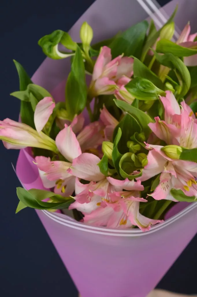 3 розовые альстромерии