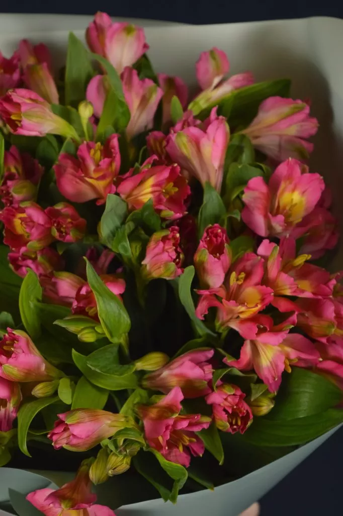 9 розовых ярких альстромерий