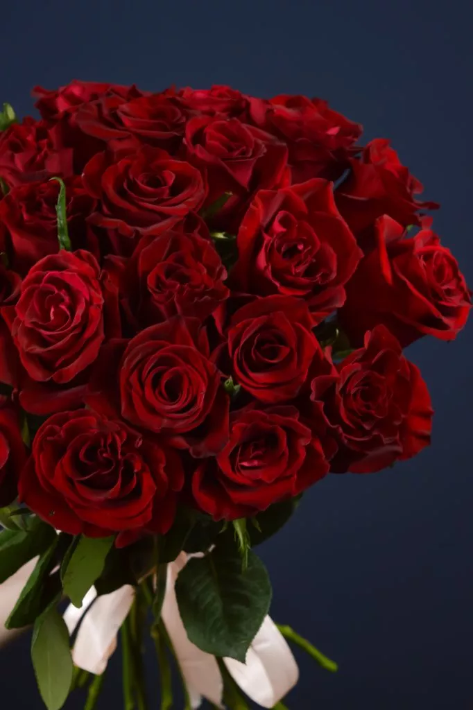 25 красных роз 40 см
