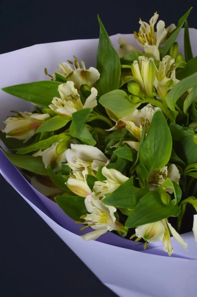 9 белых альстромерий