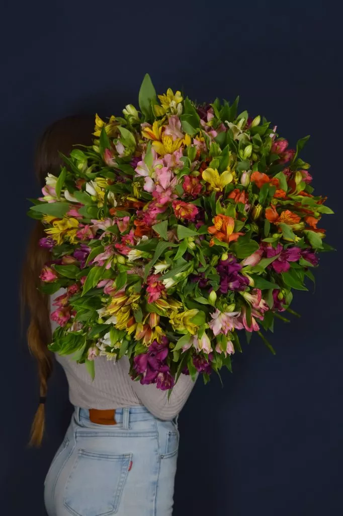 51 альстромерия микс