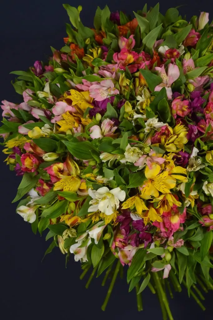 101 альстромерия микс