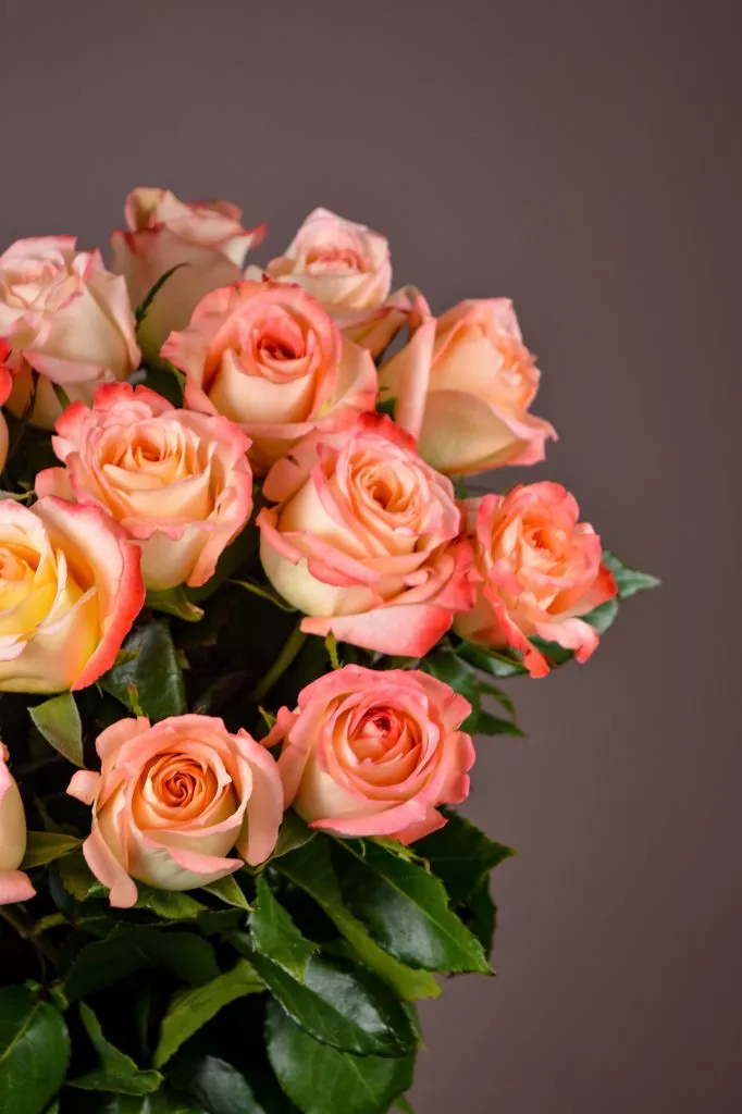 15 розовые розы Эквадор