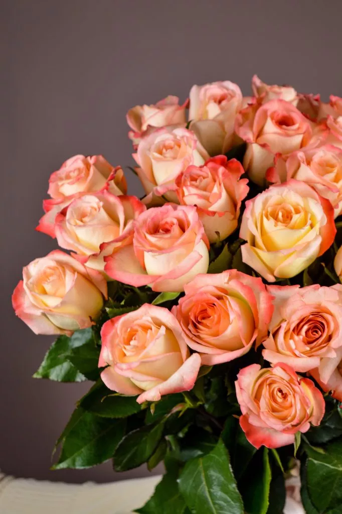 25 розовые розы Эквадор