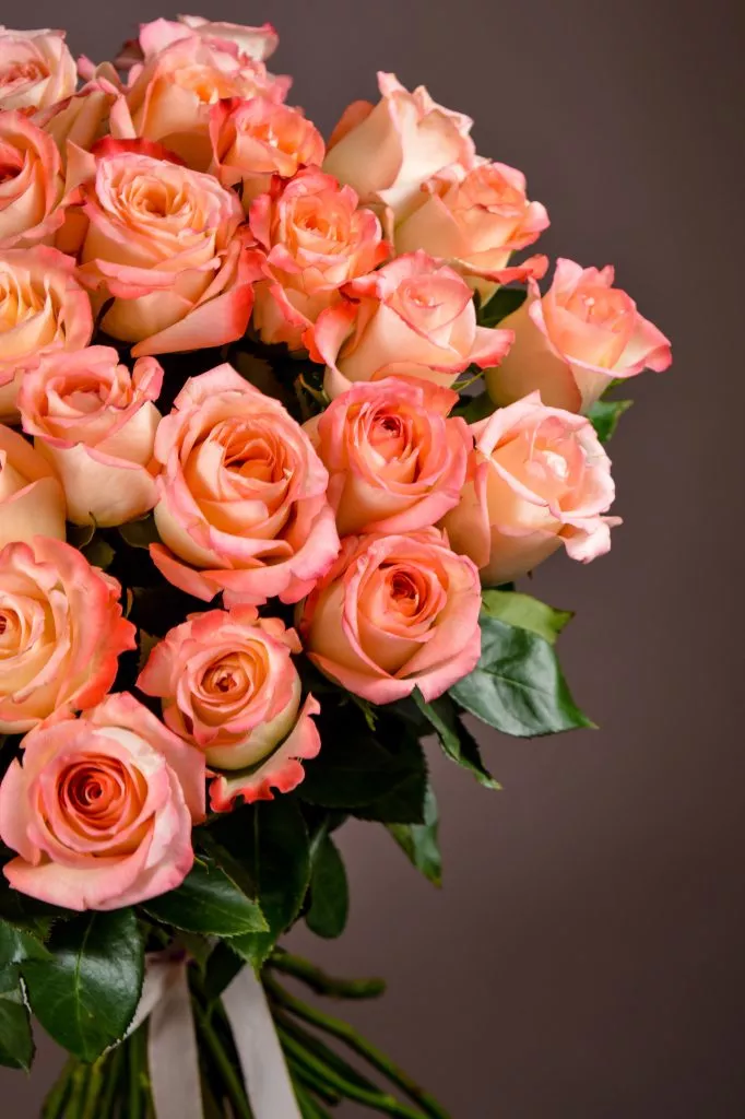 31 розовые розы Эквадор