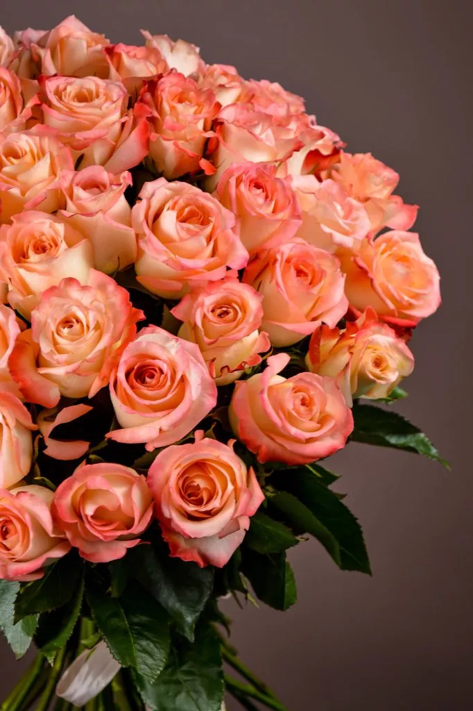 35 розовые розы Эквадор