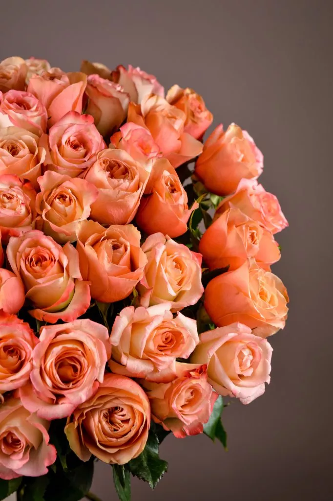 51 розовые розы Эквадор