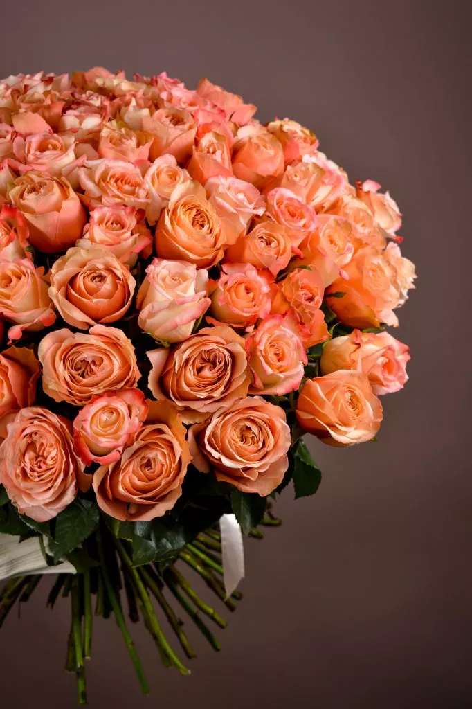 101 розовые розы Эквадор