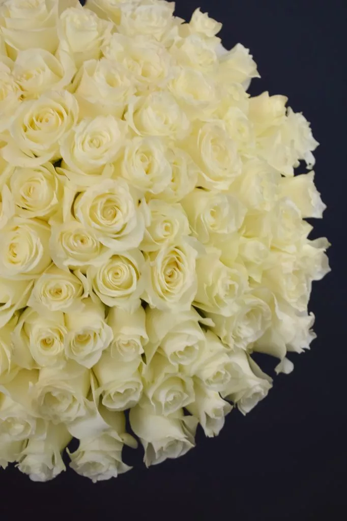 75 белых роз 40 см