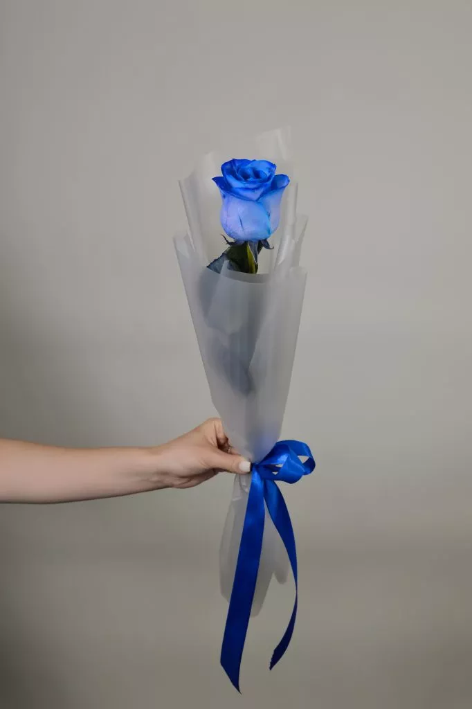 1 синяя роза