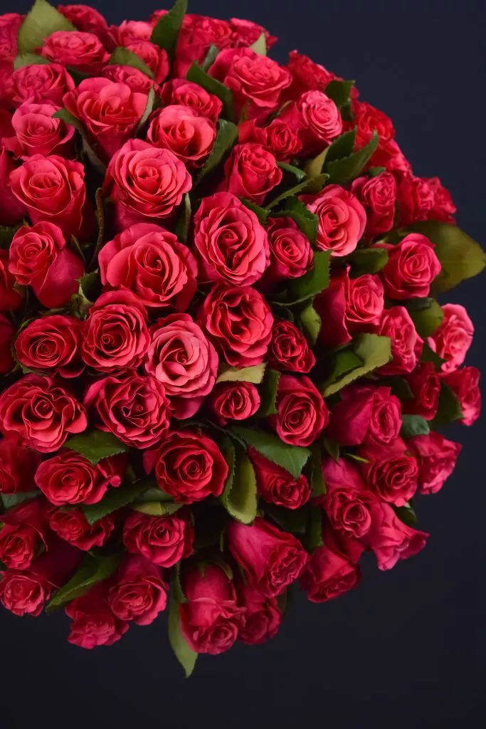 75 малиновых роз 40 см