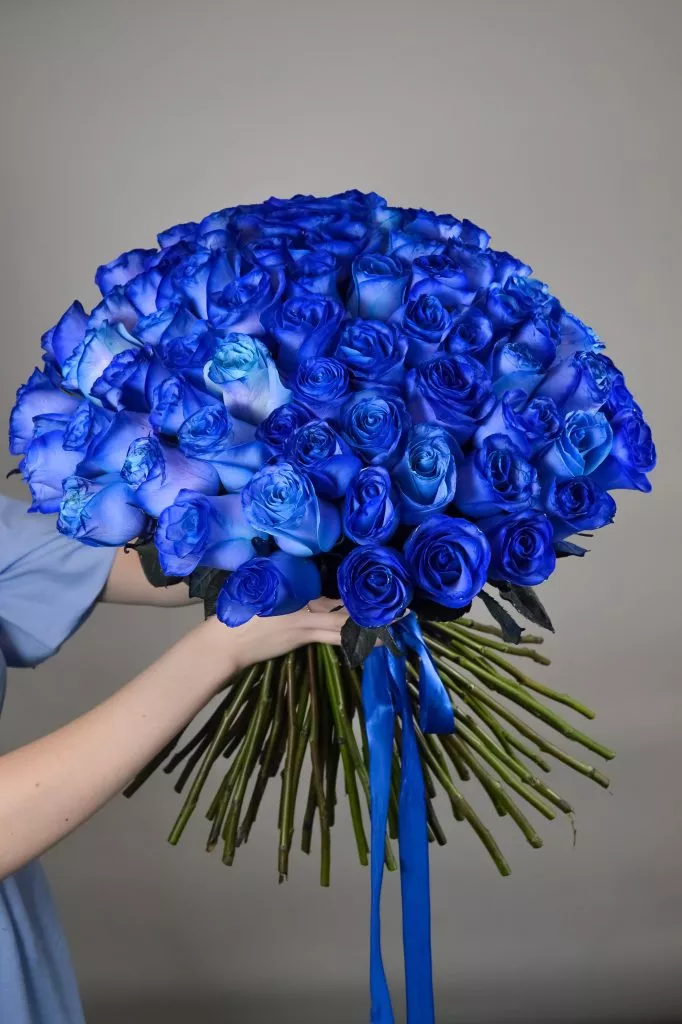 85 синих роз Эквадор