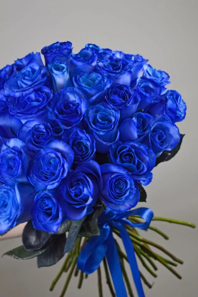 35 синих роз Эквадор