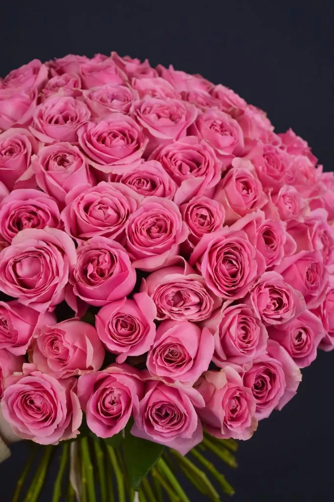 75 розовых роз 40 см