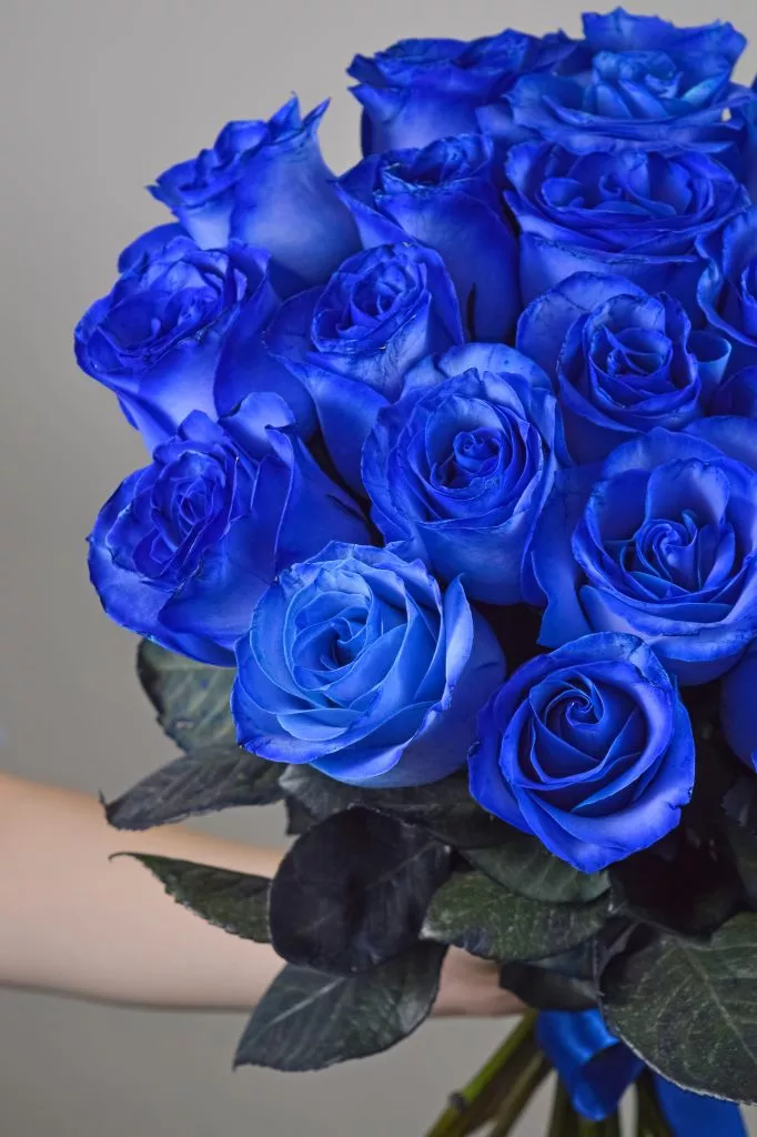 23 синих роз Эквадор
