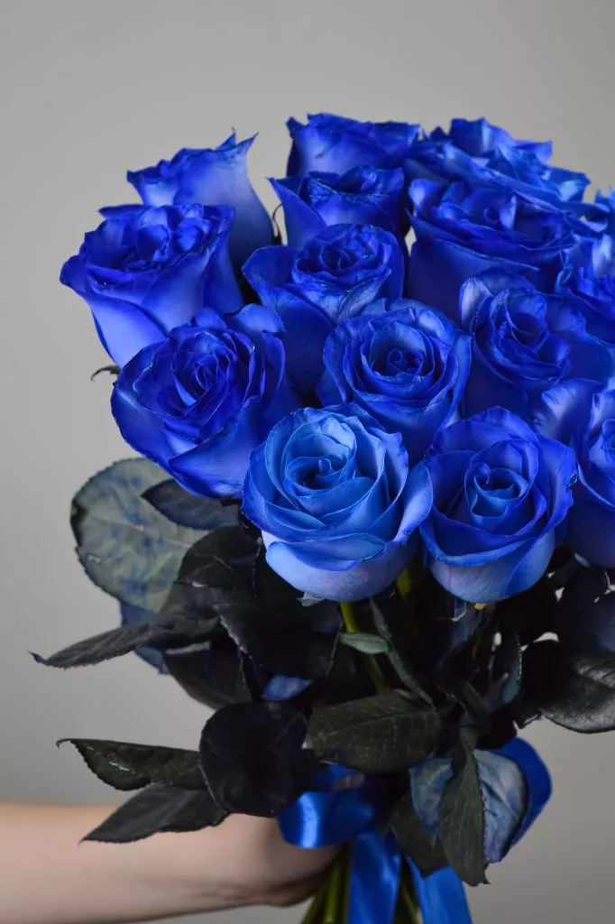 17 синих роз