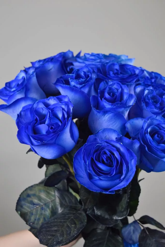 15 синих роз
