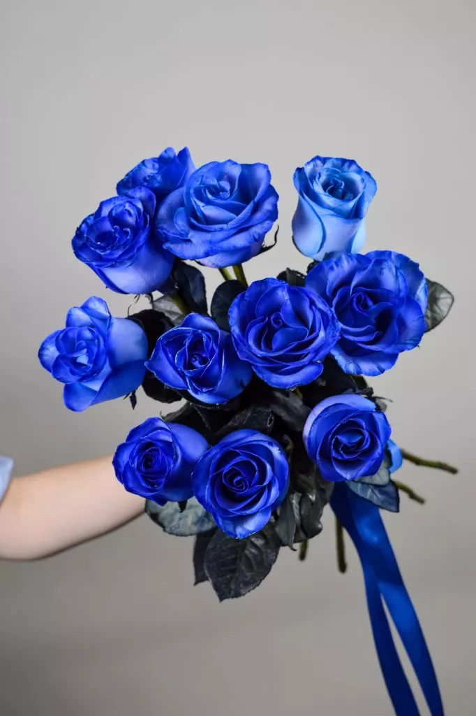 11 синих роз