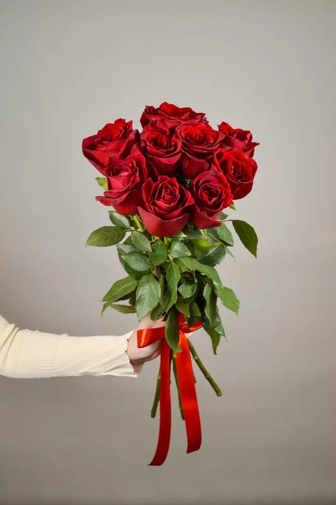 9 роз Эквадор