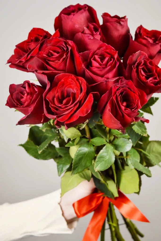 11 роз Эквадор