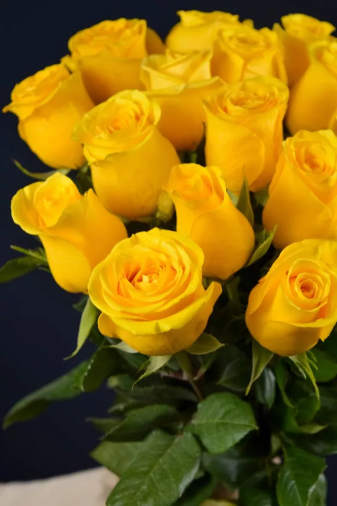 19 желтых роз