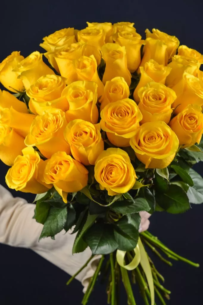 31 желтая роза