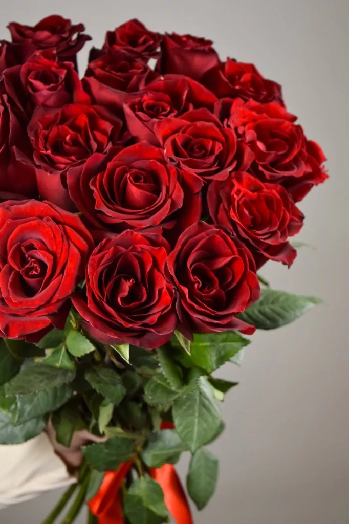 19 красных роз
