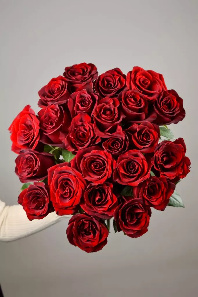 23 красных роз