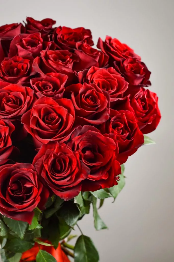 29 красных роз